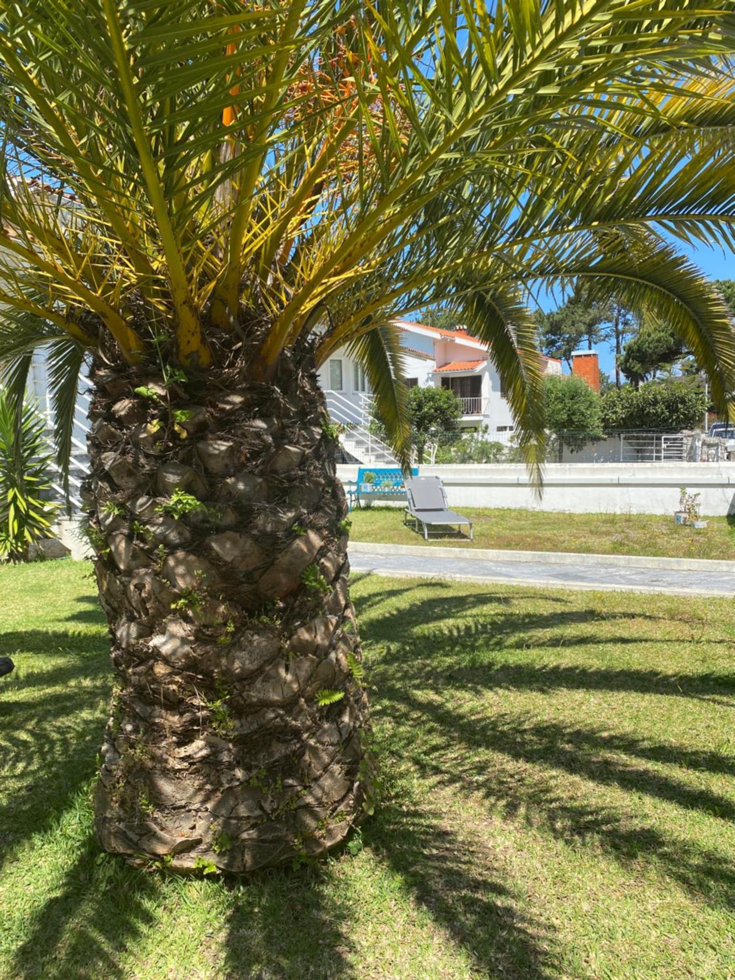 Itaca Experience Playa Do Cabedelo Apartment Виана до Кастело Екстериор снимка